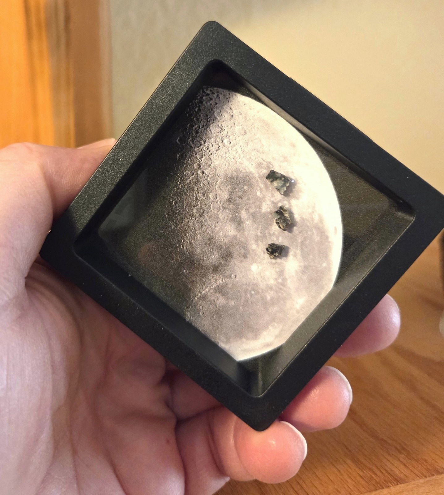 3 Genuine Moon Rocks, XL Lunar Meteorites Interactive Display, Authenticity Card 3 Genuine Moon Rocks, XL Lunar Meteorites Interactive Display, Authenticity Card