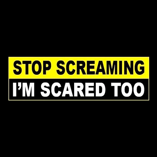Funny "STOP SCREAMING - I'M SCARED TOO" bad driver student BUMPER STICKER new Funny "STOP SCREAMING - I'M SCARED TOO" bad driver student BUMPER STICKER new