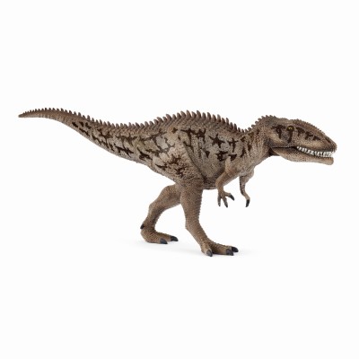 Carcharodontosaurus - 15048
