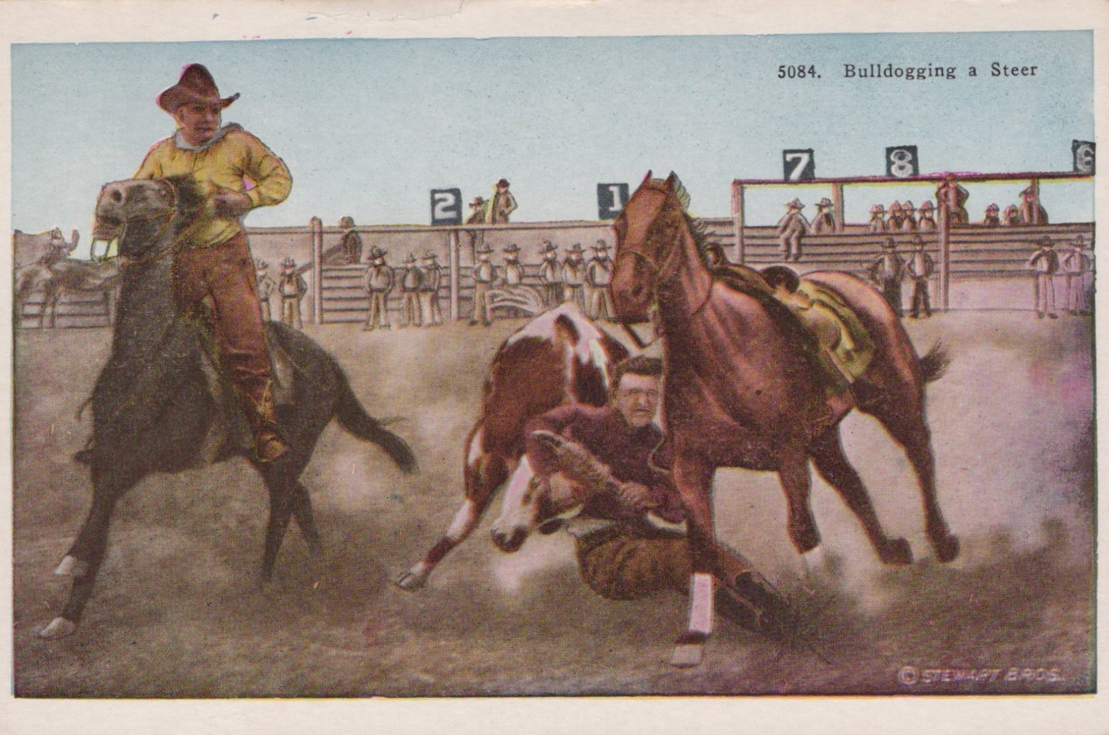 Bulldogging a Steer - Copyright Stewart Bros. - Unused/Unposted Bulldogging a Steer - Copyright Stewart Bros. - Unused/Unposted