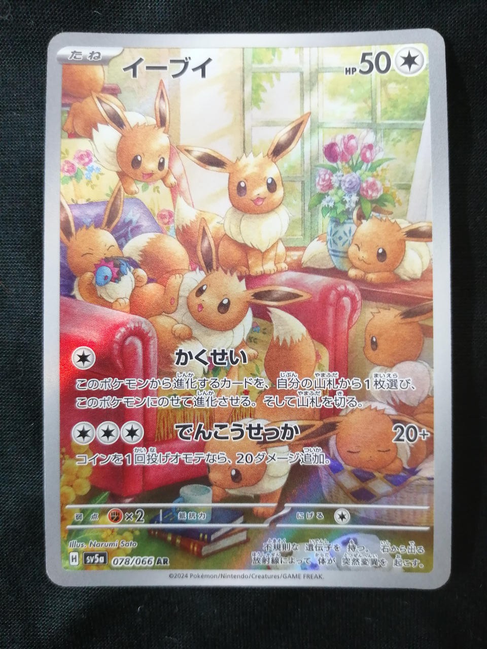Eevee Model Number 078/066 Pokemon Company