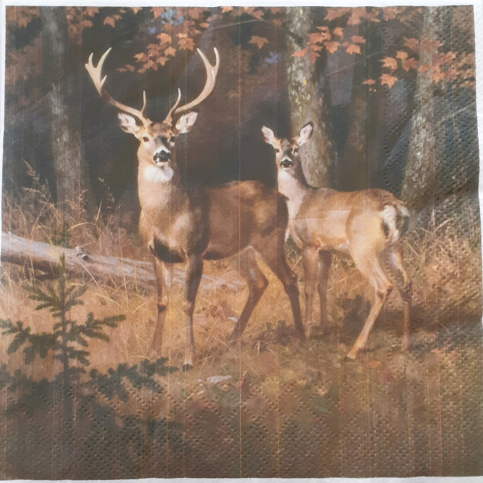 2 individual Paper Decoupage NAPKINS -DEER IN WOODS AT NIGHT 1 MOTIF 2 individual Paper Decoupage NAPKINS -DEER IN WOODS AT NIGHT 1 MOTIF