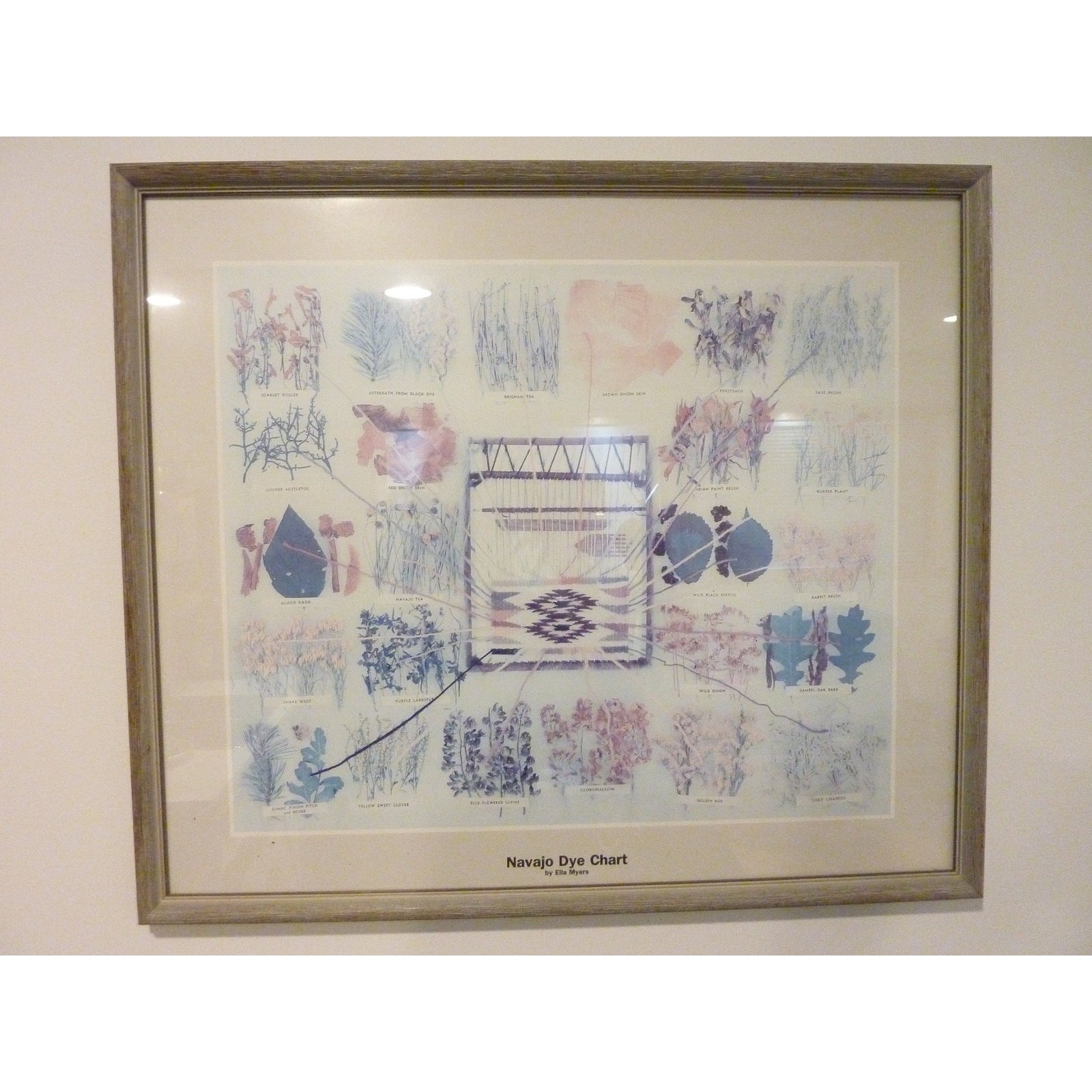 Vintage Ella Myers Navajo Plant Dye Chart Framed Print Wall Art 23.5 x 20