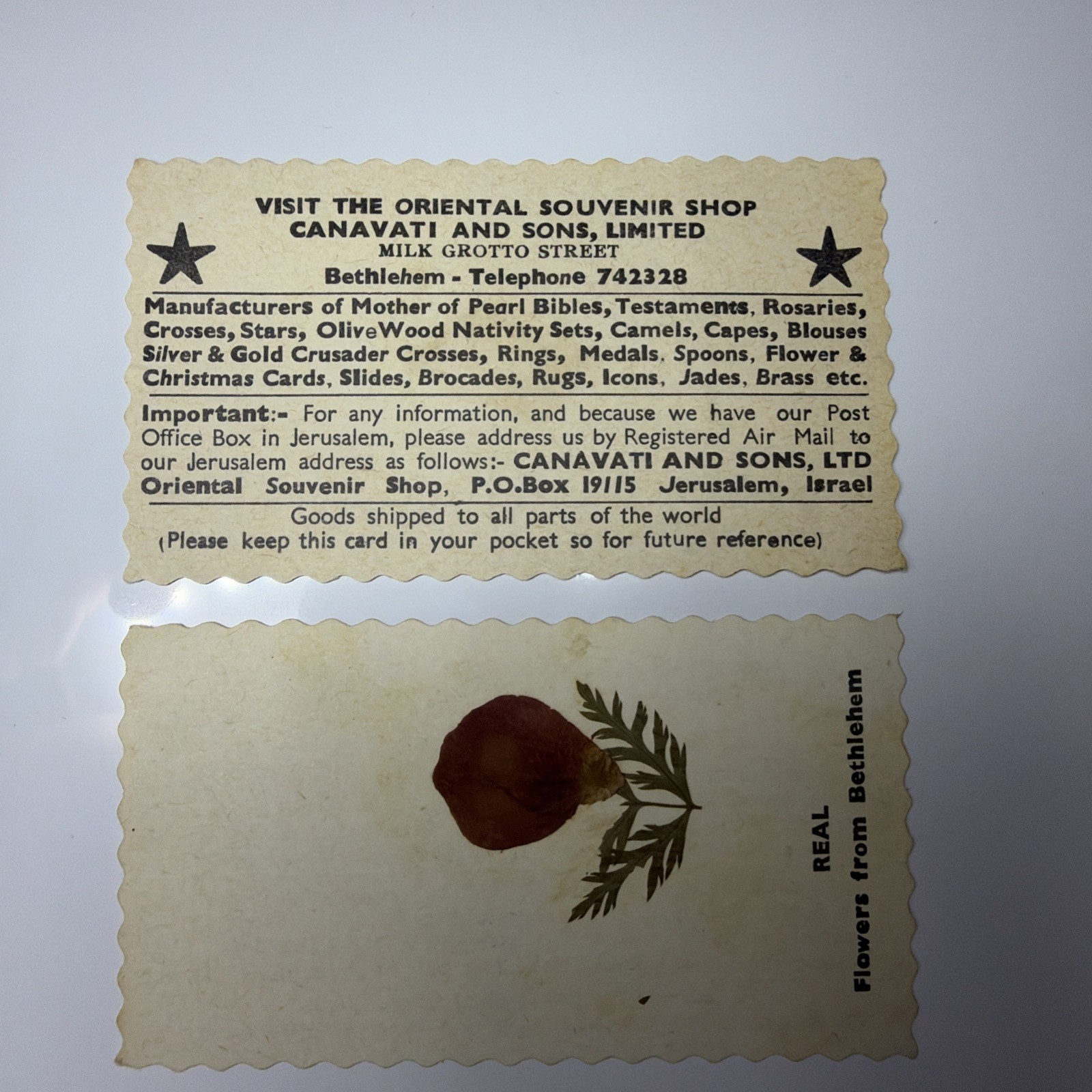 VTG The Oriental Souvenir Shop Canavati & Sons Business Card With Dried Flower