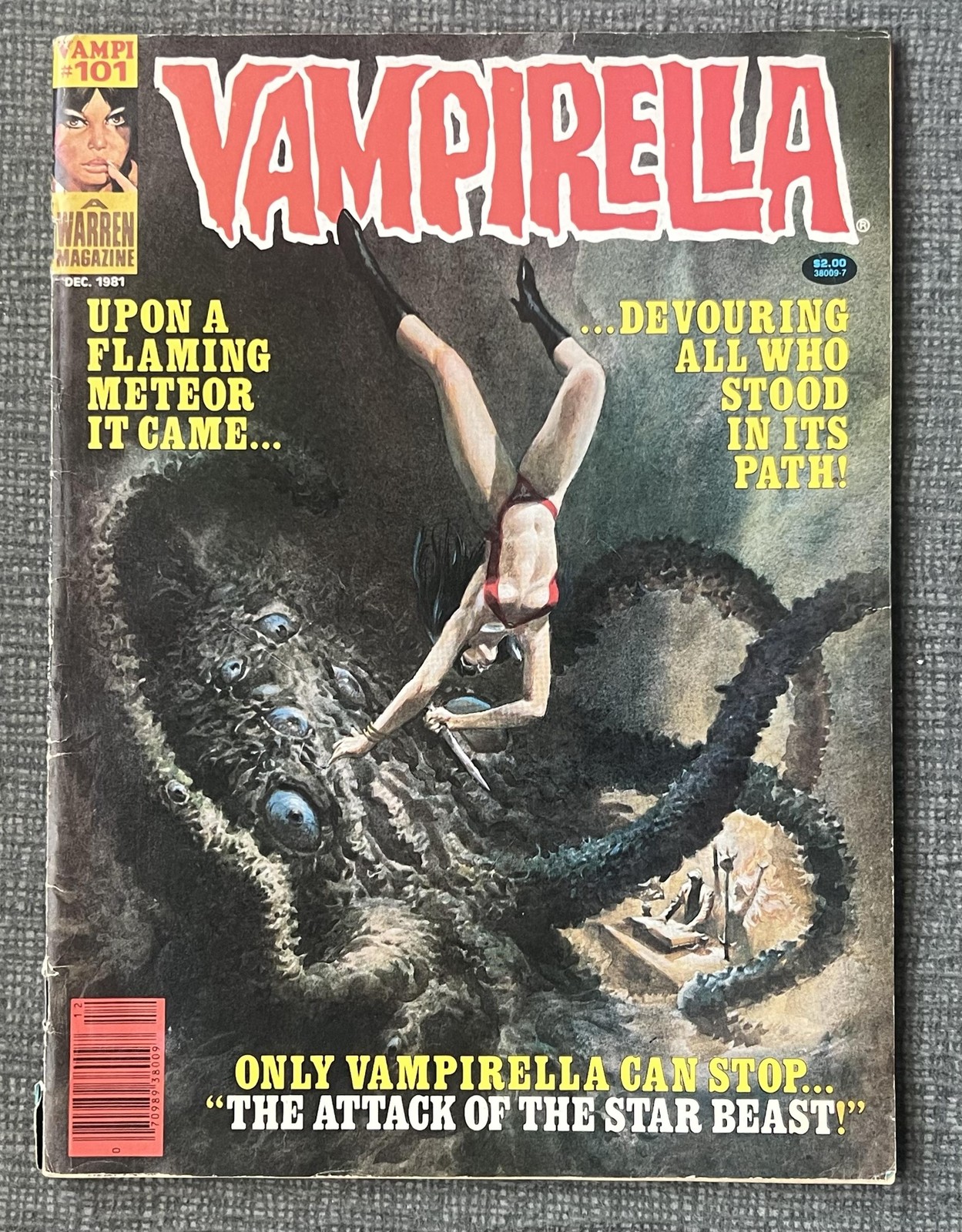 Vintage 1981 Vampirella #101 Warren Magazine Comic Book Pantha Horror Sci-Fi Vintage 1981 Vampirella #101 Warren Magazine Comic Book Pantha Horror Sci-Fi