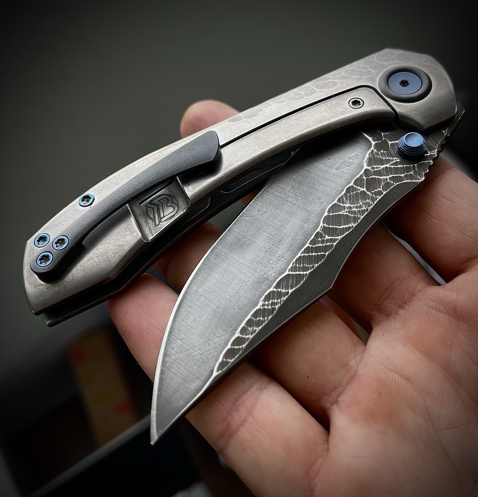 CUSTOM Brian Brown BBK Raptor - Textured Etched M390, Stripped Titanium Scales CUSTOM Brian Brown BBK Raptor - Textured Etched M390, Stripped Titanium Scales