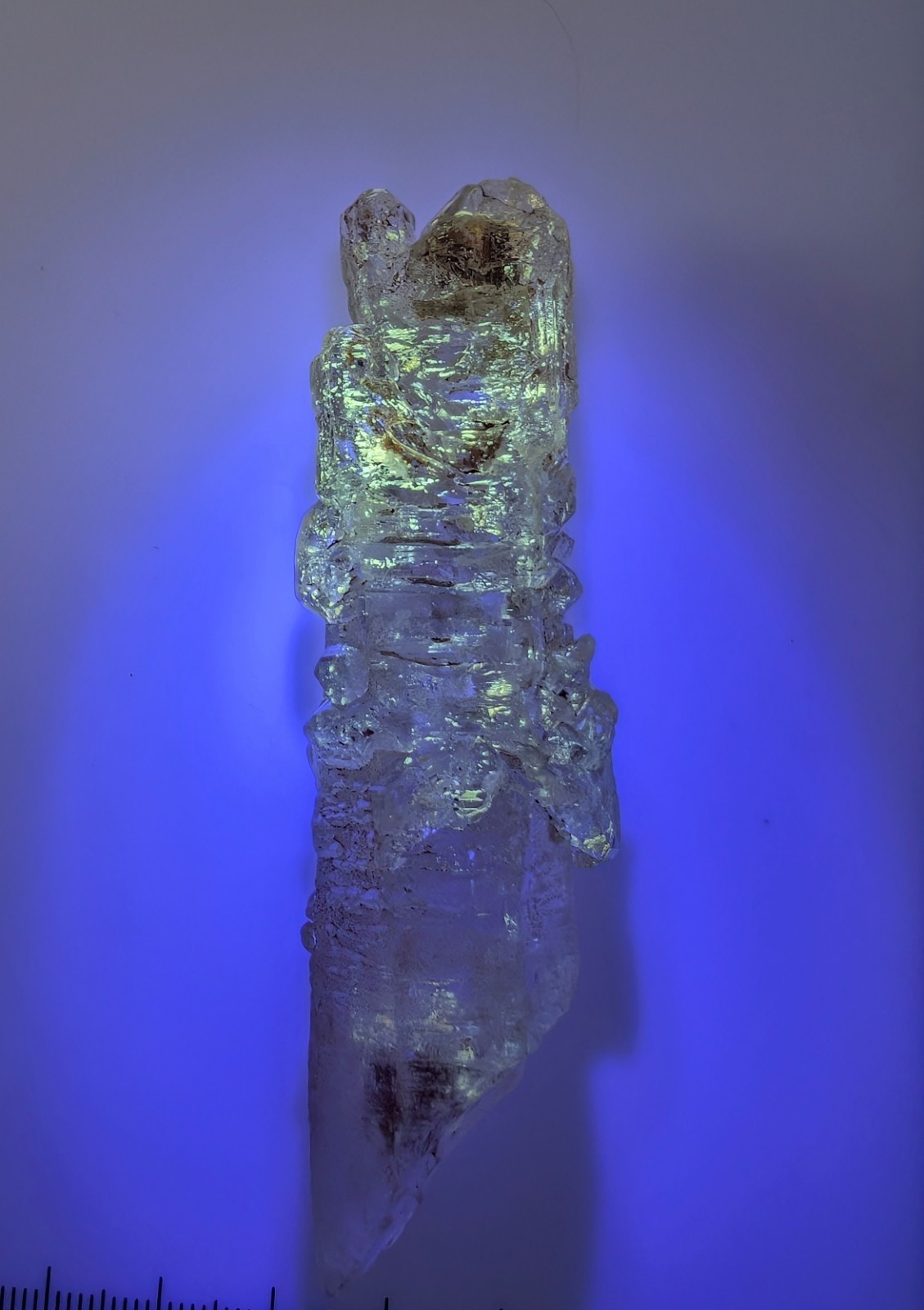 Firefly Quartz Madagascar Crystal Petroleum Quartz UV Reactive Elestial Sceptre Firefly Quartz Madagascar Crystal Petroleum Quartz UV Reactive Elestial Sceptre