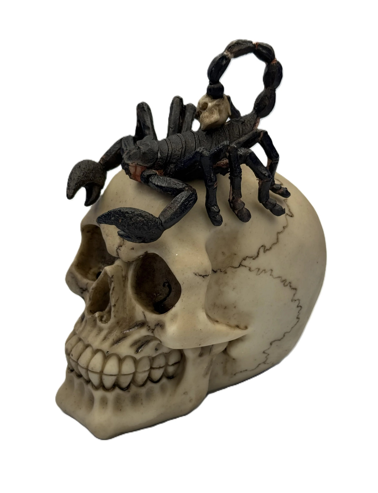 Scorpion Skull Statue – Gothic Skull with Scorpion Horror Figurine Scorpion Skull Statue – Gothic Skull with Scorpion Horror Figurine
