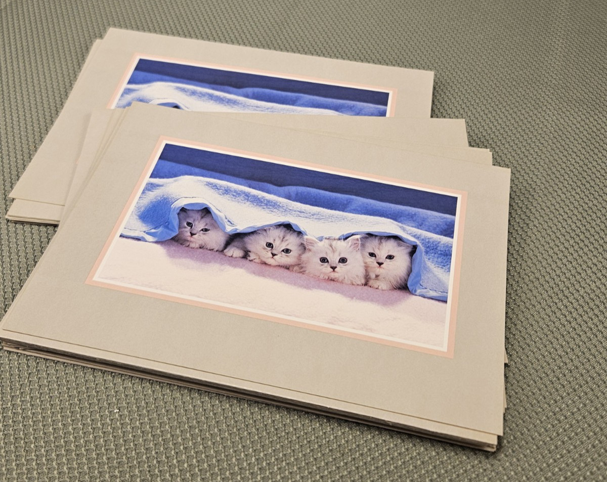 Lot Of 19 Vtg Cat Greeting Cards, Colorful Images Lot Of 19 Vtg Cat Greeting Cards, Colorful Images