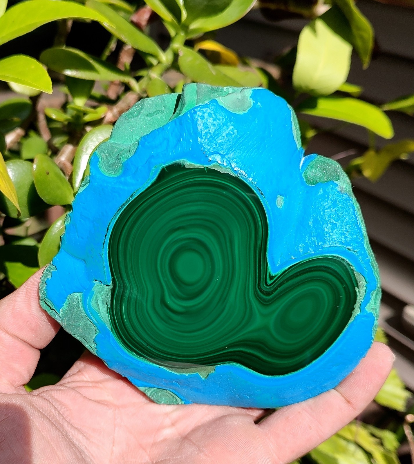 GORGEOUS CHRYSOCOLLA -MALACHITE NATURAL MINERAL, LG, 1217G/2LB 10.9OZ SHOW PIECE GORGEOUS CHRYSOCOLLA -MALACHITE NATURAL MINERAL, LG, 1217G/2LB 10.9OZ SHOW PIECE