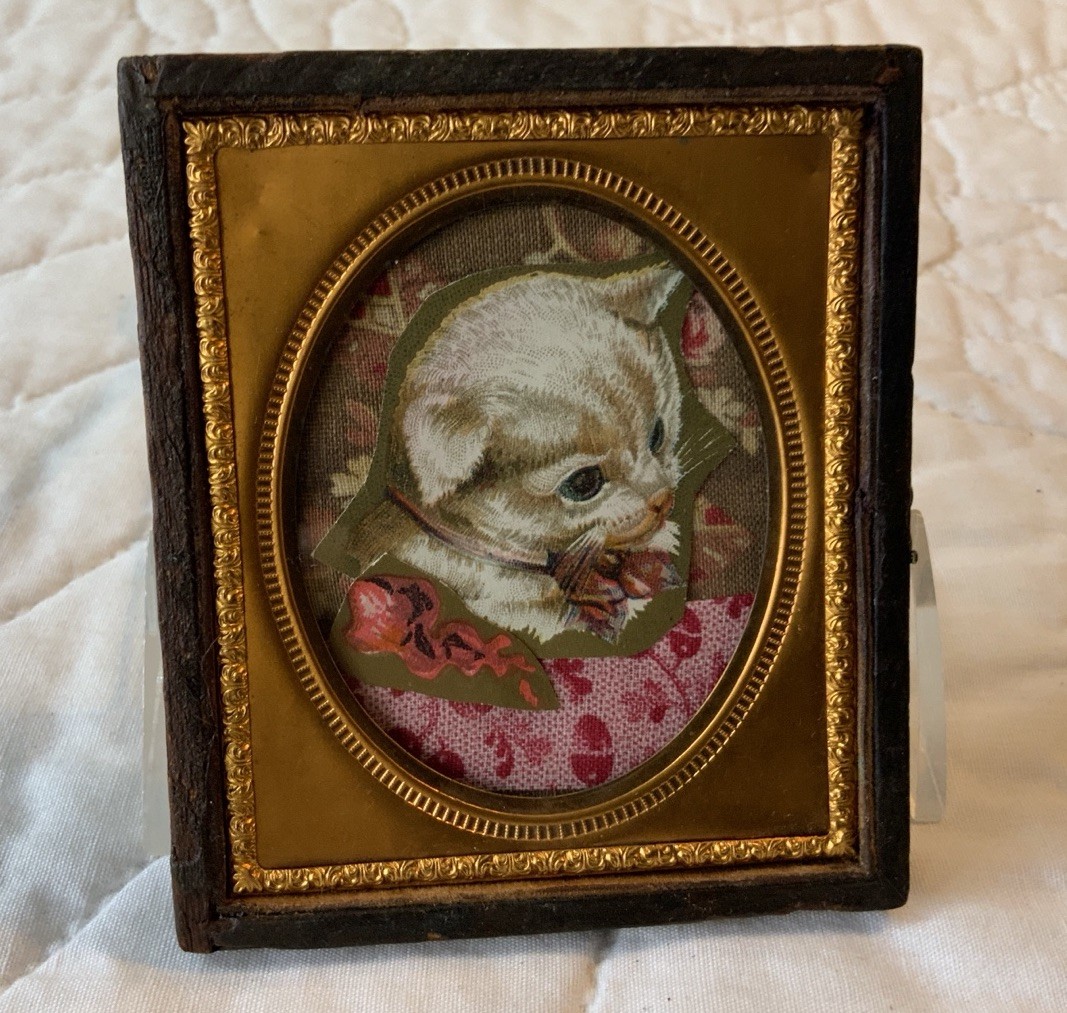 Antique Victorian Trade Card Ephemera Framed, Half Union Case, 1/6 Plate, Cat