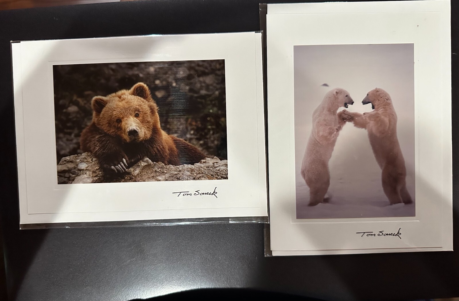 Tom Soucek Photographs on note cards, Polar bear, brown bear Tom Soucek Photographs on note cards, Polar bear, brown bear
