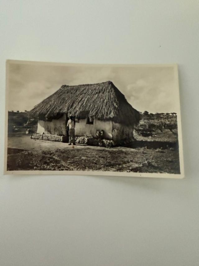 Vintage Curacao N.W.I. Native Hut RPPC Foto Fischer Russian Peasant Shop Vintage Curacao N.W.I. Native Hut RPPC Foto Fischer Russian Peasant Shop