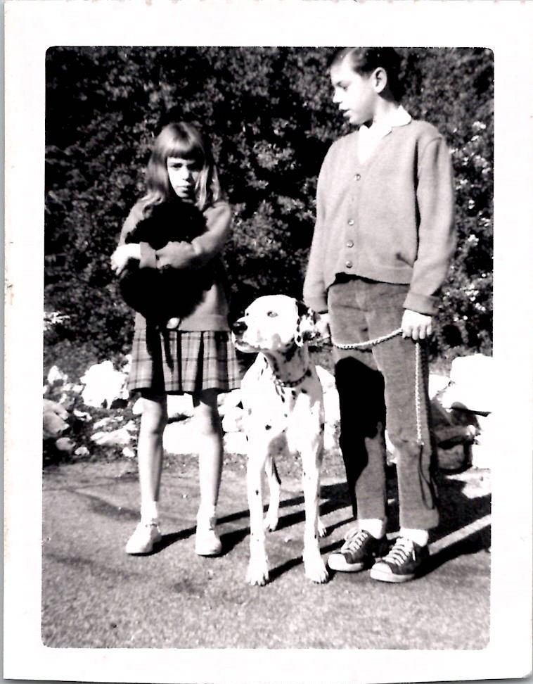 Cute Adorable Dalmatian Dog and Poodle Pets Snapshot 1940s Vintage B&W Photo 2 Cute Adorable Dalmatian Dog and Poodle Pets Snapshot 1940s Vintage B&W Photo 2