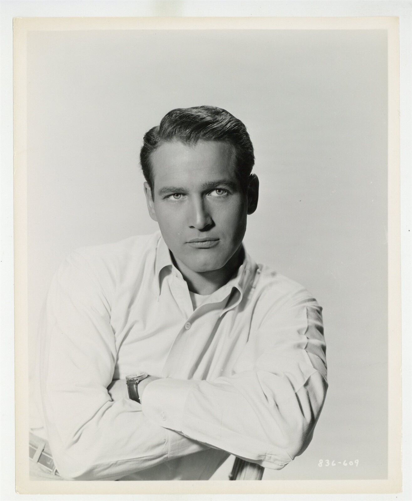 Paul Newman 1959 Spectacular Portrait Photo 8x10 Handsome Stunning Beefcake