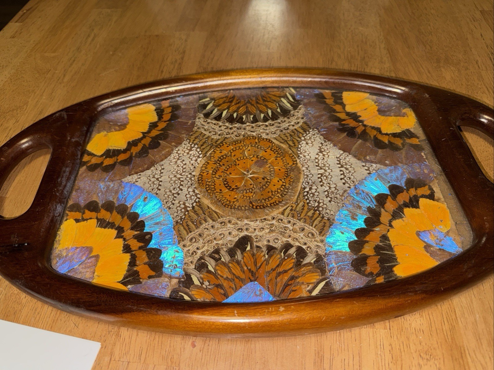 Vintage Brazilian Inlaid Morpho Butterfly Oval Wood Tray – HTF Shape – 19" Vintage Brazilian Inlaid Morpho Butterfly Oval Wood Tray – HTF Shape – 19"