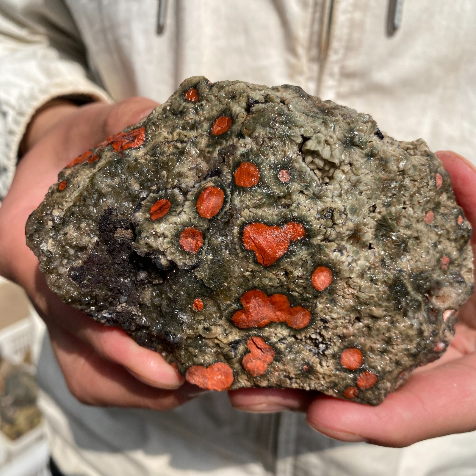 440G Rare Natural Raw Ocean Jasper Rough Quartz Crystal Mineral SpecimeM 440G Rare Natural Raw Ocean Jasper Rough Quartz Crystal Mineral SpecimeM