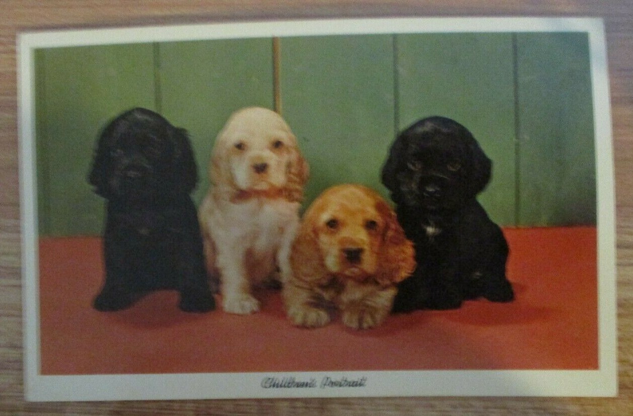 Children's Portrait - Post card 