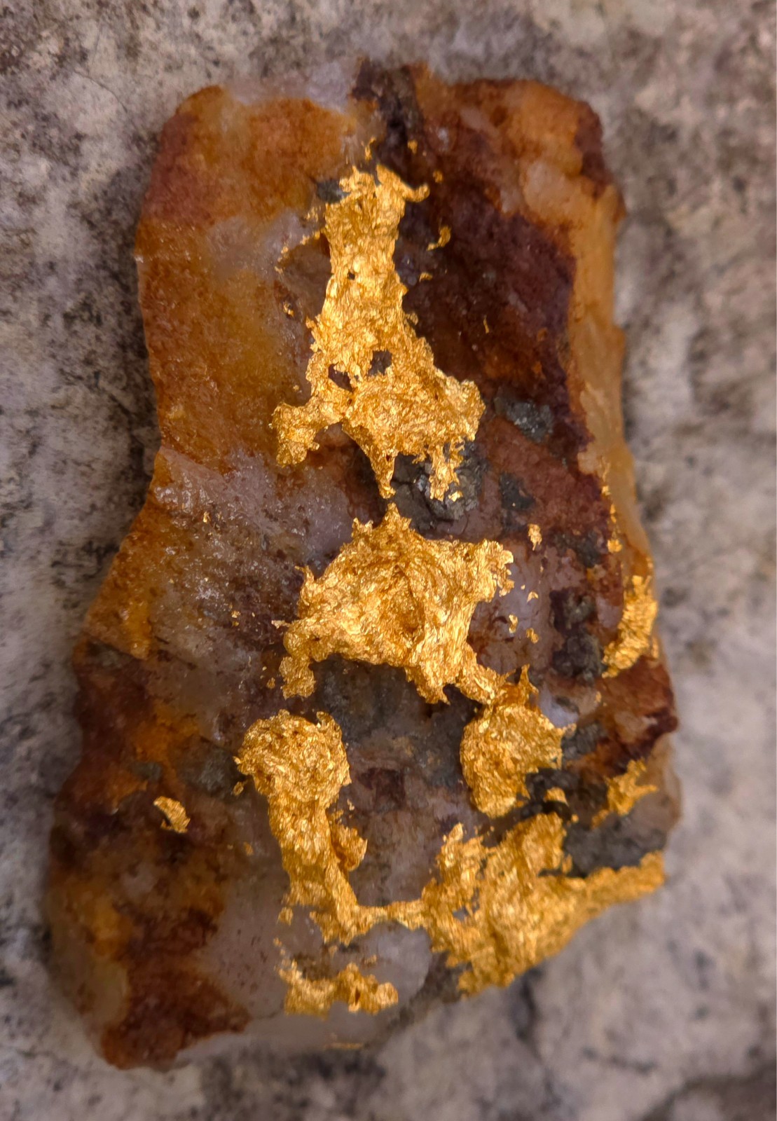 ☆GOLD ORE SPECIMEN☆ 26.91g ☆TELLURIDE GOLD☆TARIFFS PAID☆GORGEOUS☆ ☆GOLD ORE SPECIMEN☆ 26.91g ☆TELLURIDE GOLD☆TARIFFS PAID☆GORGEOUS☆