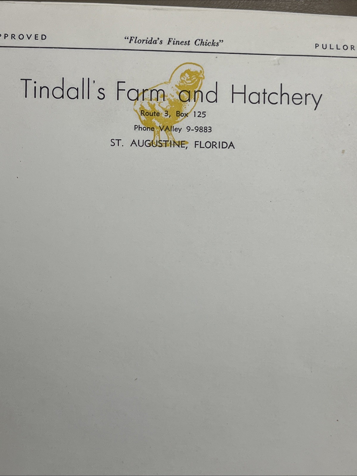 Lot 20 Vintage Tindall’s Farm Hatchery Letterhead St Augustine FL Ephemera 1950+