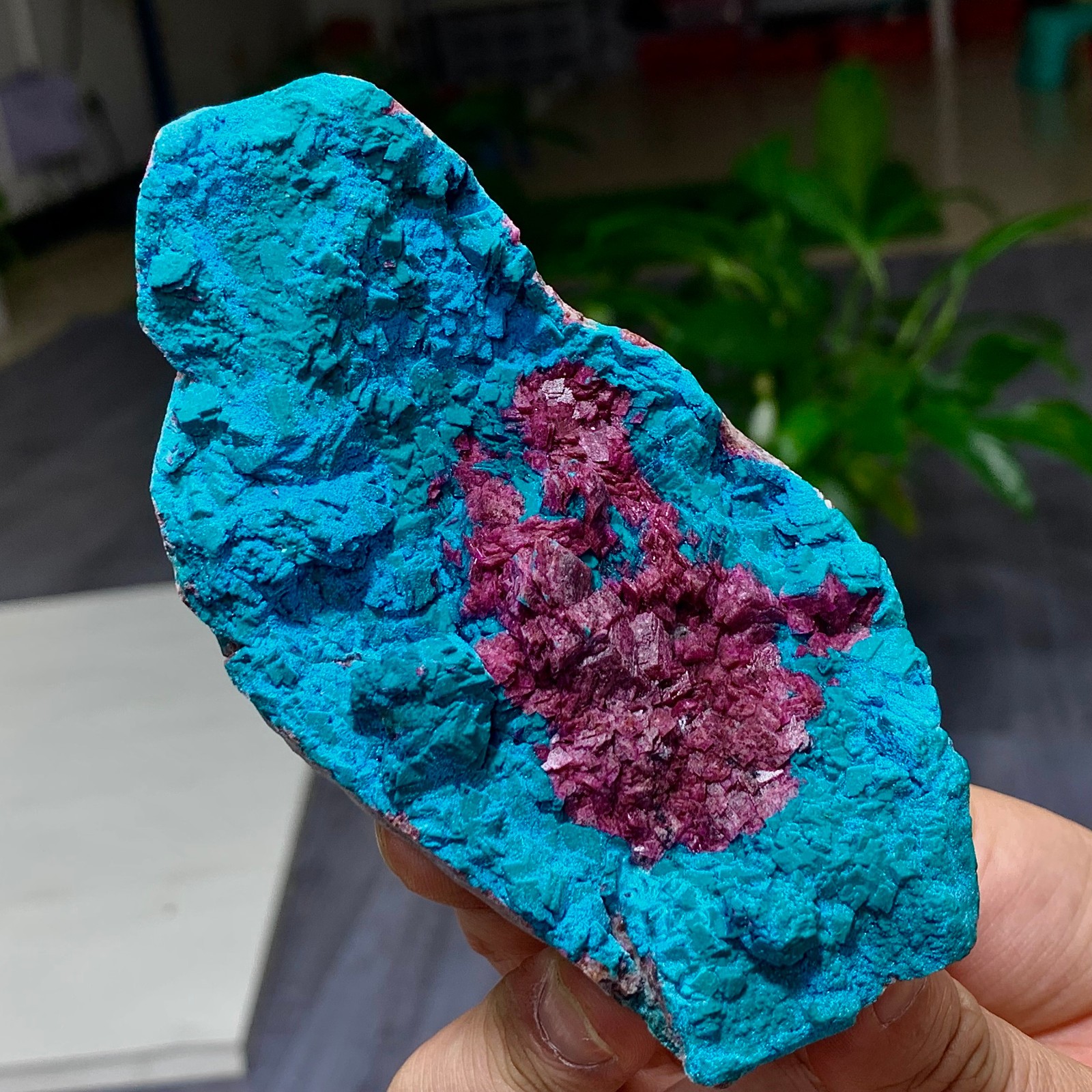297G Natural Crystal Pink Cobalt Calcite+Chrysocolla Symbiotic specimen
