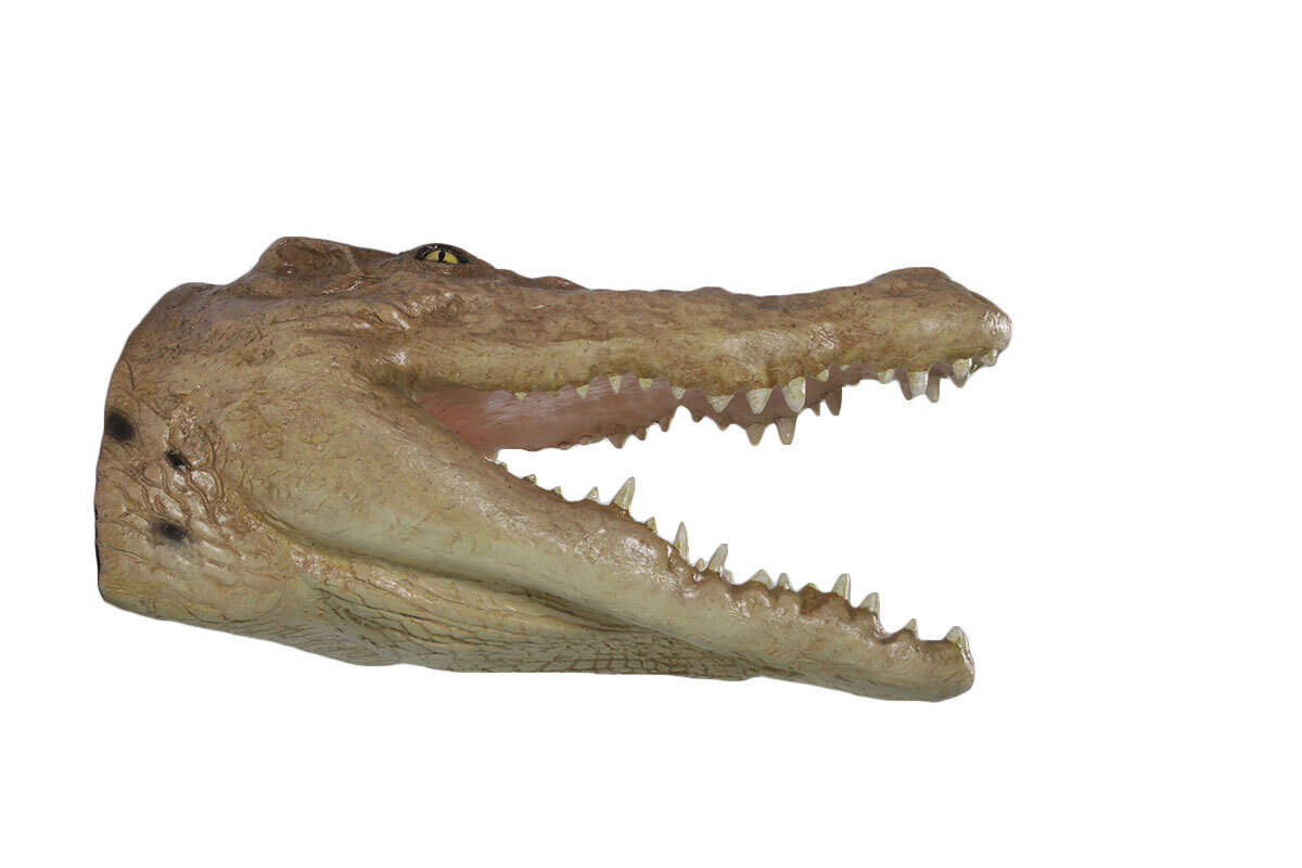 Crocodile Head Large Trophy Wall Sculpture Decor Man Cave Accent Piece Crocodile Head Large Trophy Wall Sculpture Decor Man Cave Accent Piece