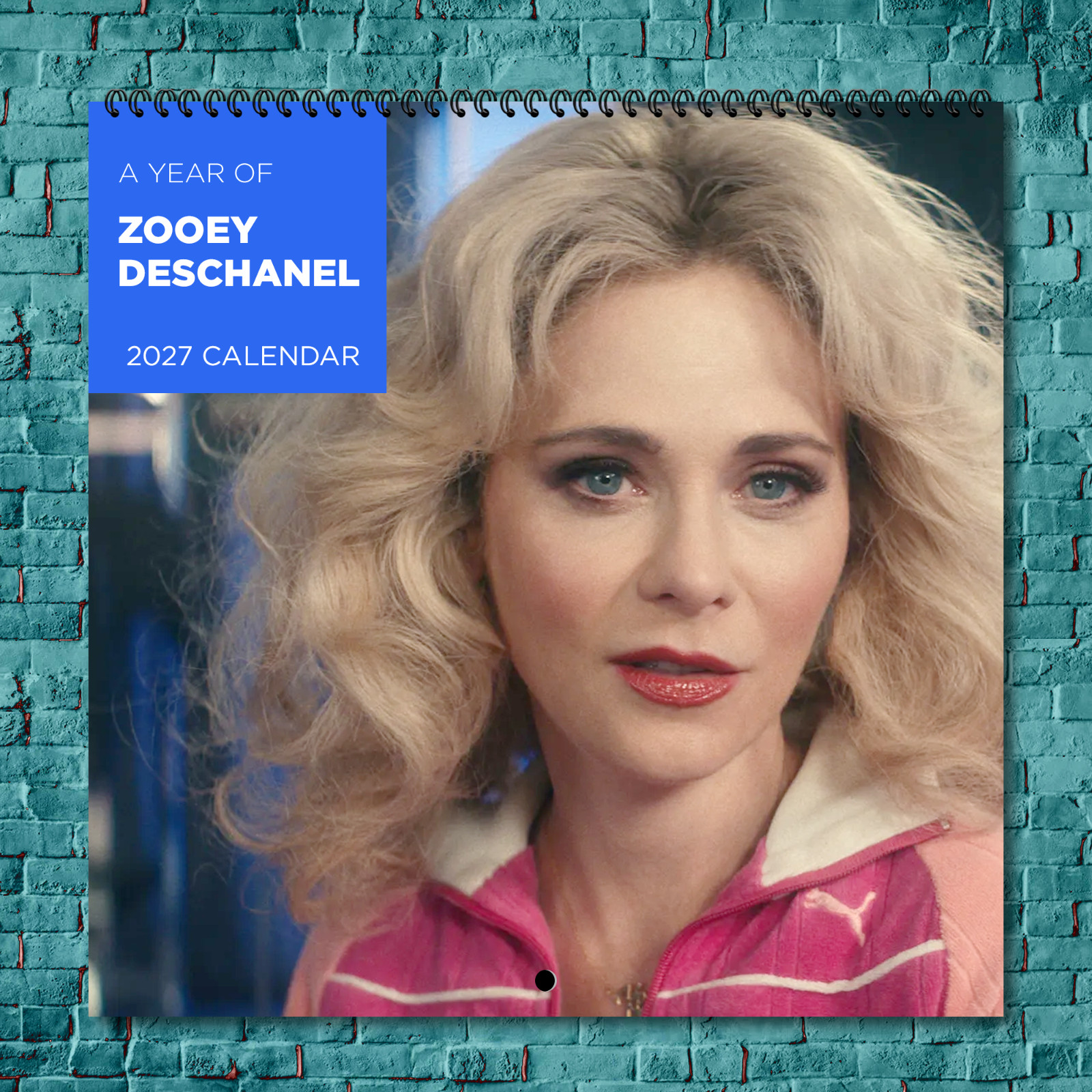 Zooey Deschanel 2027 Wall Calendar 12 Month Celebrity Photo Fan Collectible Zooey Deschanel 2027 Wall Calendar 12 Month Celebrity Photo Fan Collectible