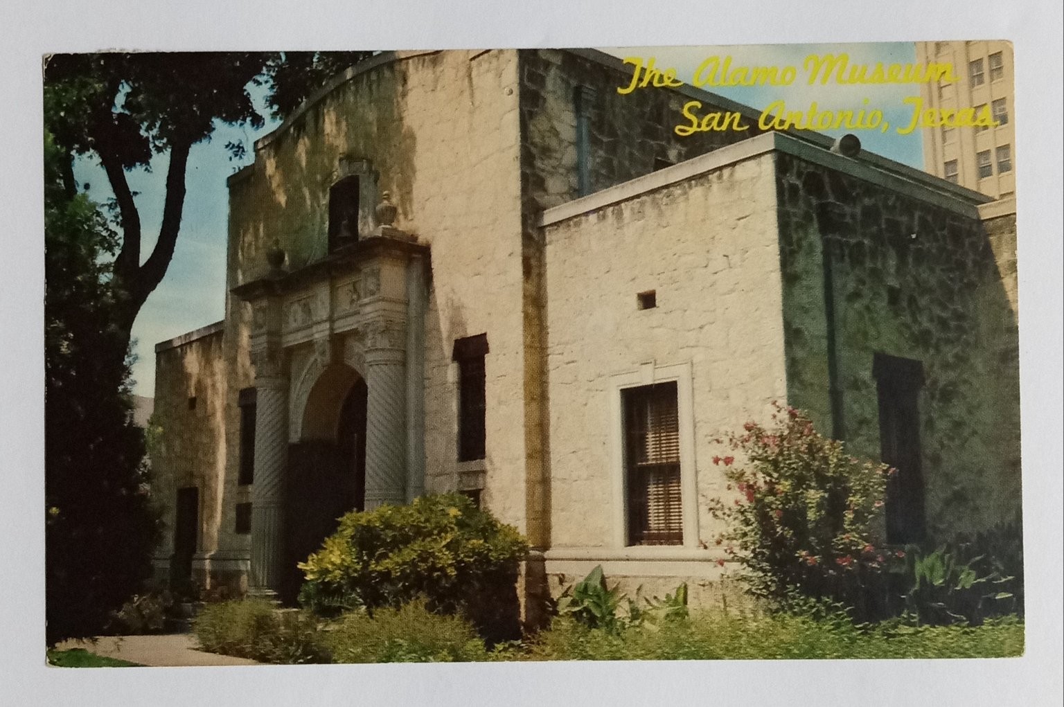 Vintage 1959 The Alamo Museum San Antonio Texas Postcard Newton News Co. Vintage 1959 The Alamo Museum San Antonio Texas Postcard Newton News Co.