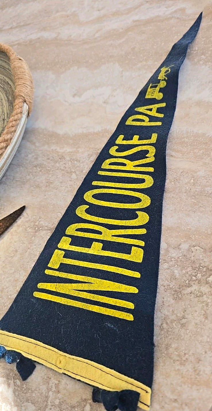 Vintage Intercourse PA 17" Felt Pennant Lucky Amish Buggy USA