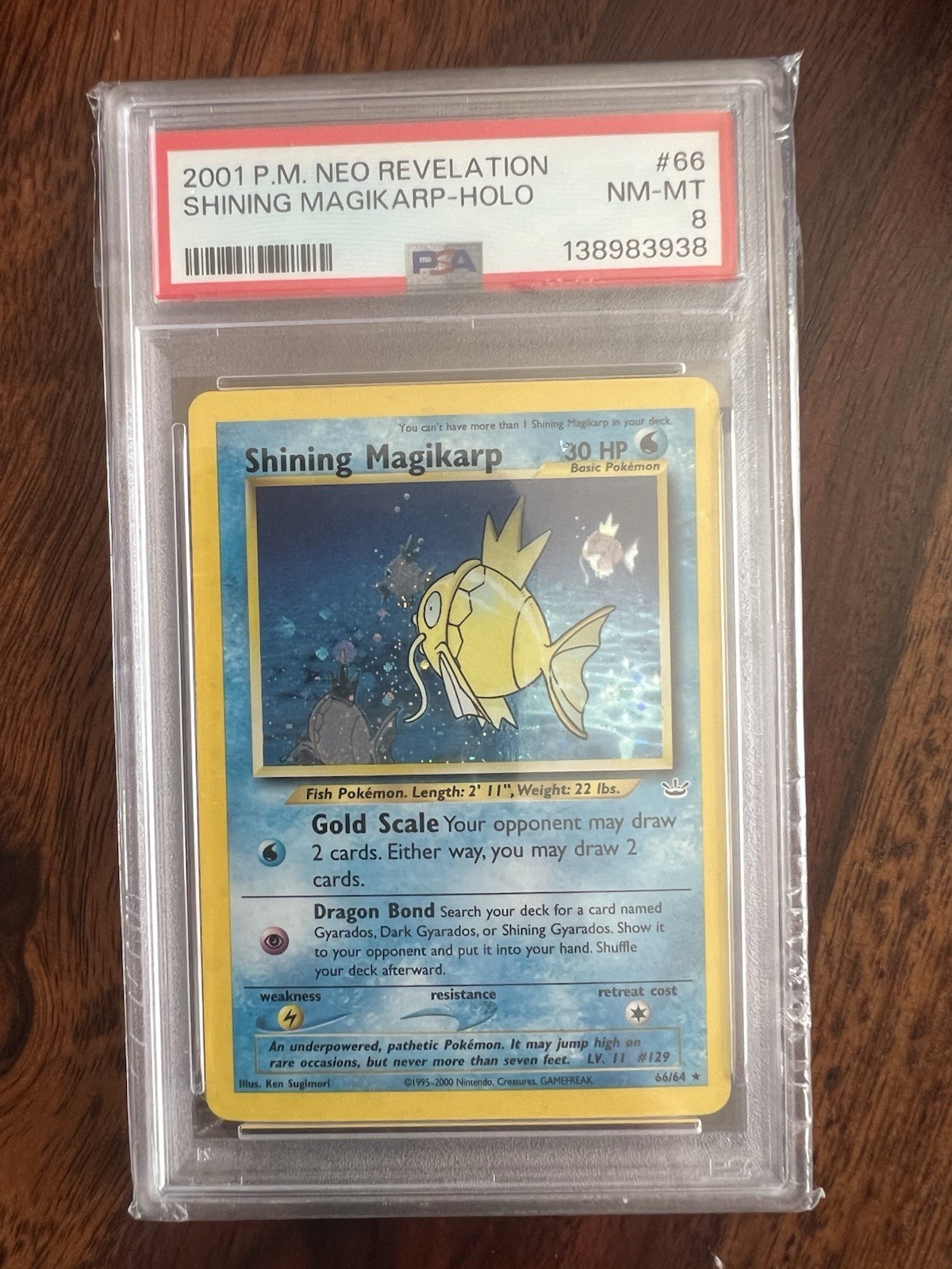 Pokémon Neo Revelation Shining Magikarp Holo 66/64 PSA 8 English 2001 Pokémon Neo Revelation Shining Magikarp Holo 66/64 PSA 8 English 2001