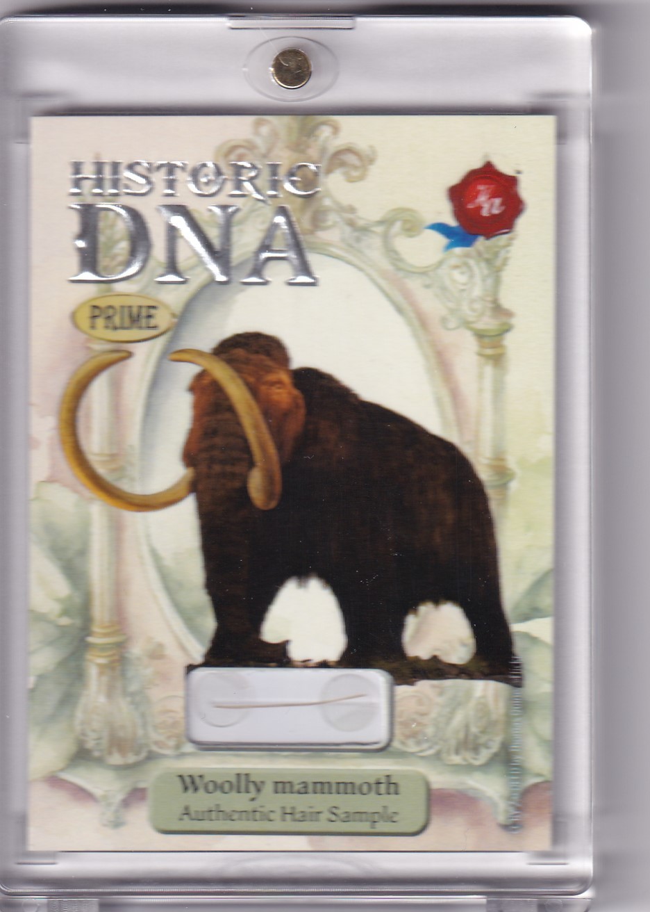 WOOLLY MAMMOTH /24 HAIR STRAND DNA RELIC 2024 HISTORIC AUTOGRAPHCS PRIME WOOLLY MAMMOTH /24 HAIR STRAND DNA RELIC 2024 HISTORIC AUTOGRAPHCS PRIME
