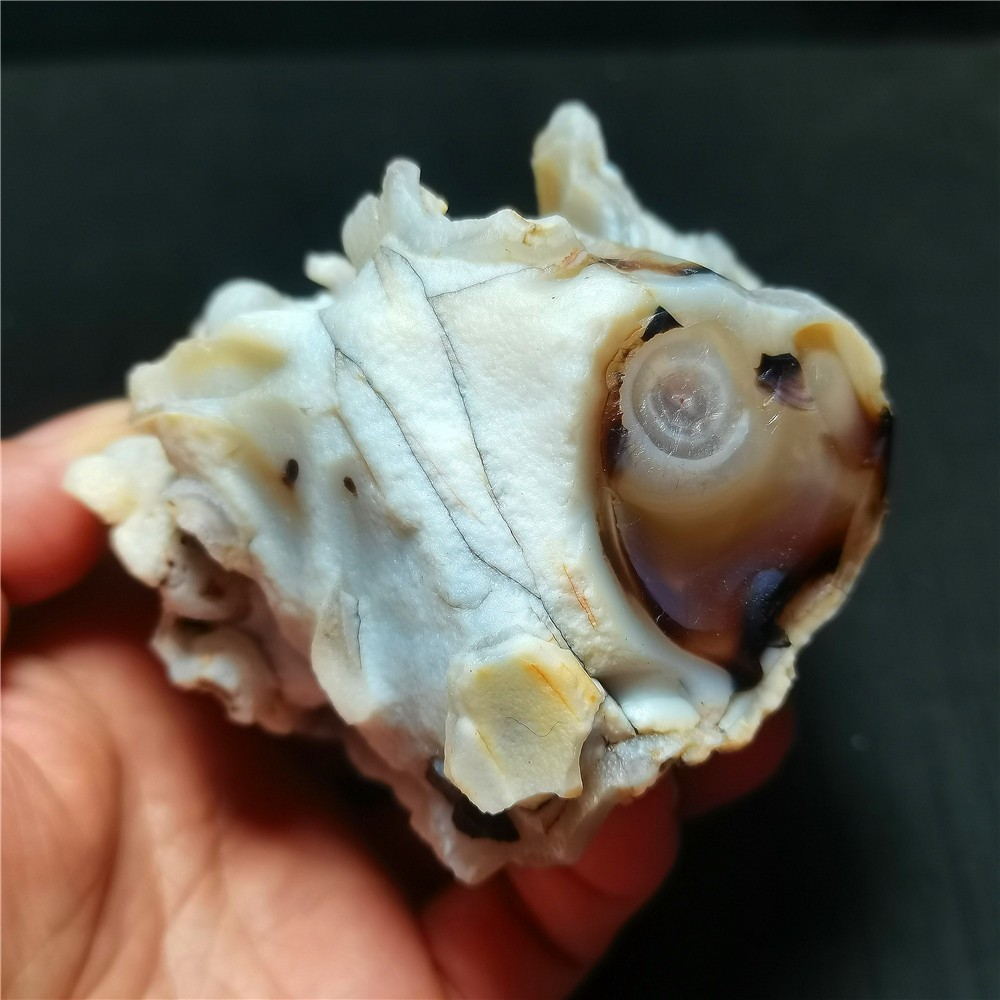 Rare 442G Natural Inner Mongolia Gobi Eyes Agate Rough stone Healing R1688 Rare 442G Natural Inner Mongolia Gobi Eyes Agate Rough stone Healing R1688