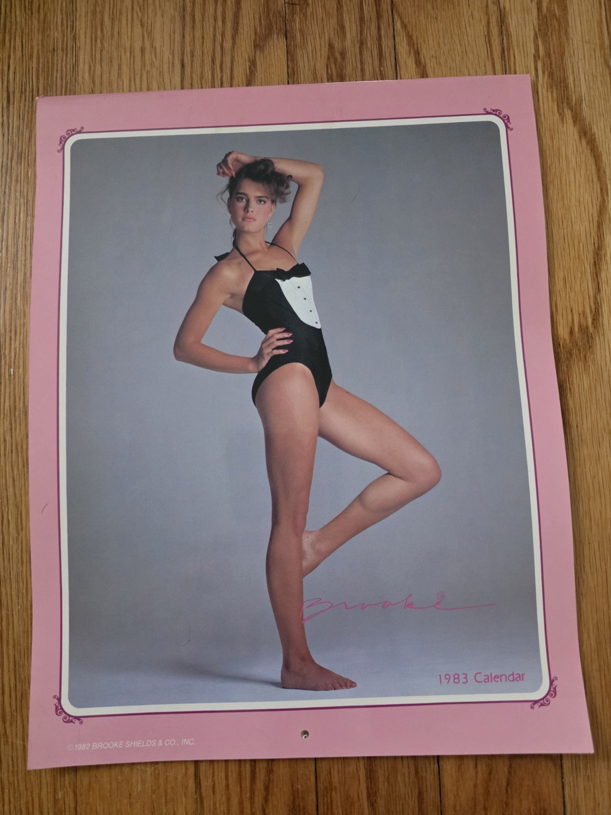 1983 Brooke Shields 12 Month Calendar UNUSED New Old Stock Vintage 1983 Brooke Shields 12 Month Calendar UNUSED New Old Stock Vintage