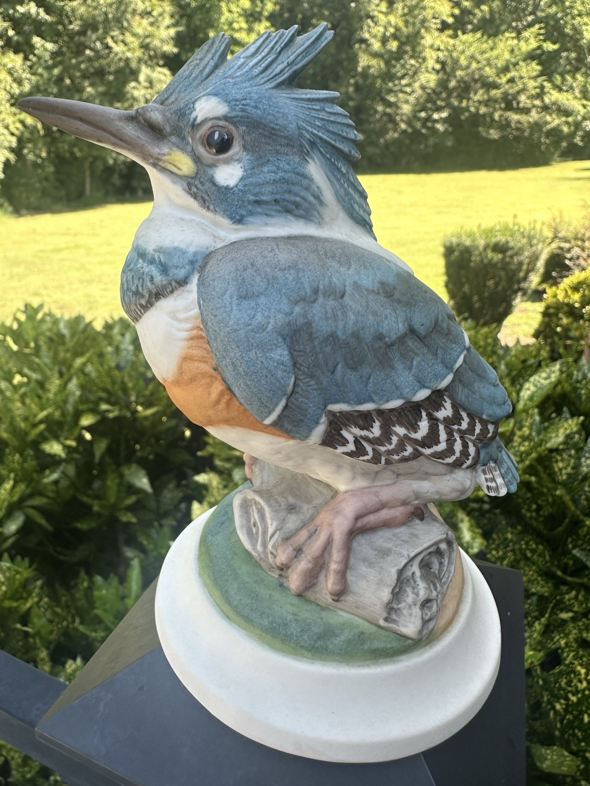 Vintage Boehm Fledgling Kingfisher 449 Bird Figurine 6.25"