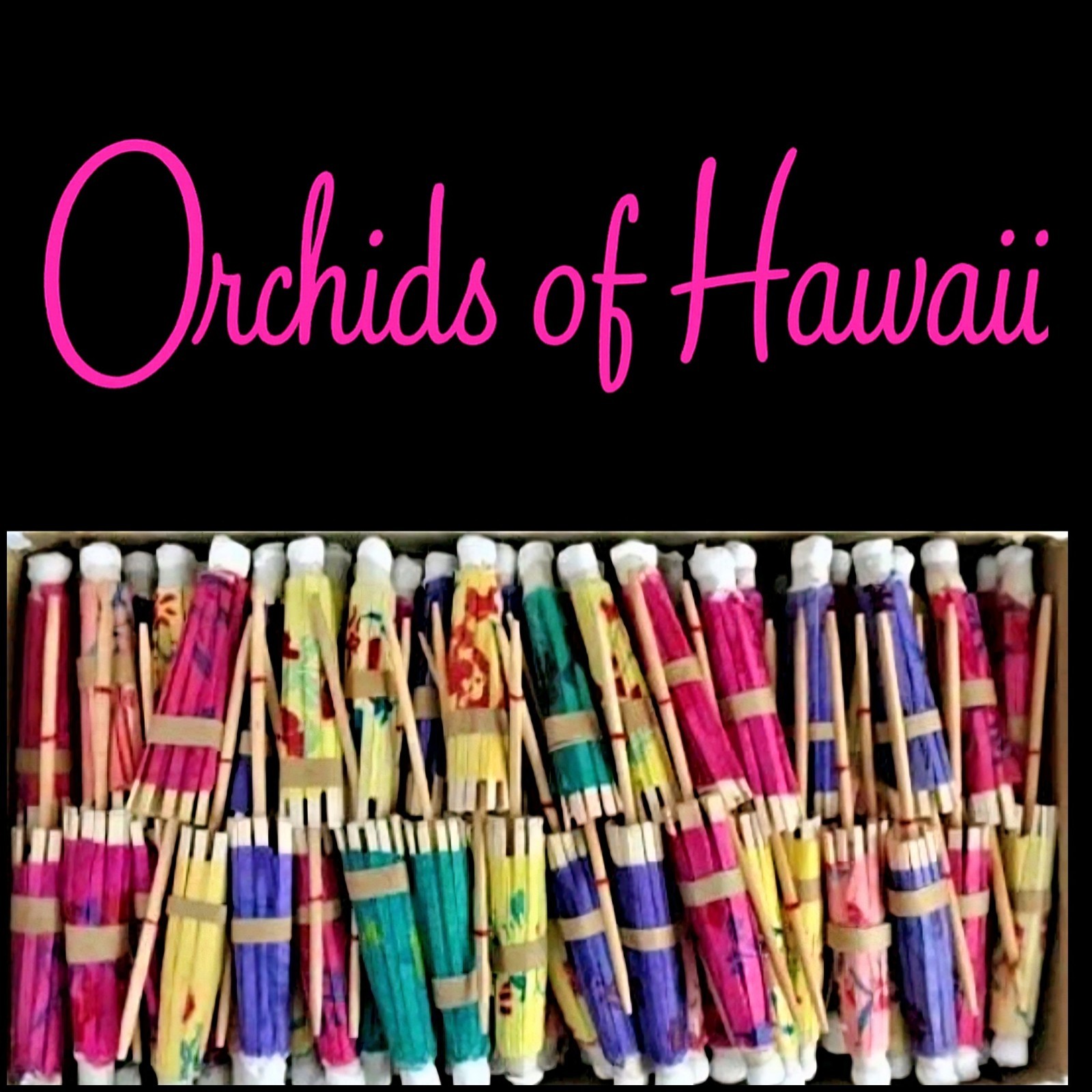 Vintage Orchids of Hawaii R-37 Cocktail Parasols Vintage Orchids of Hawaii R-37 Cocktail Parasols