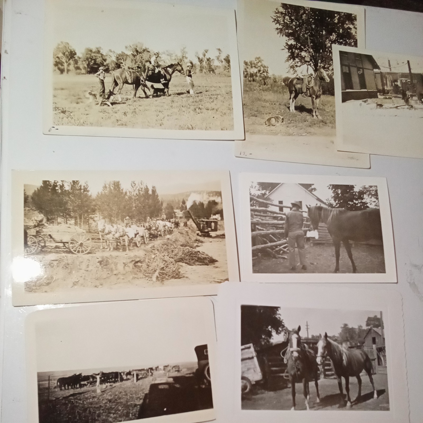 Lot Vintage Black & White Photos Horse Drawn Carts Farm Rural Scenes Lot Vintage Black & White Photos Horse Drawn Carts Farm Rural Scenes