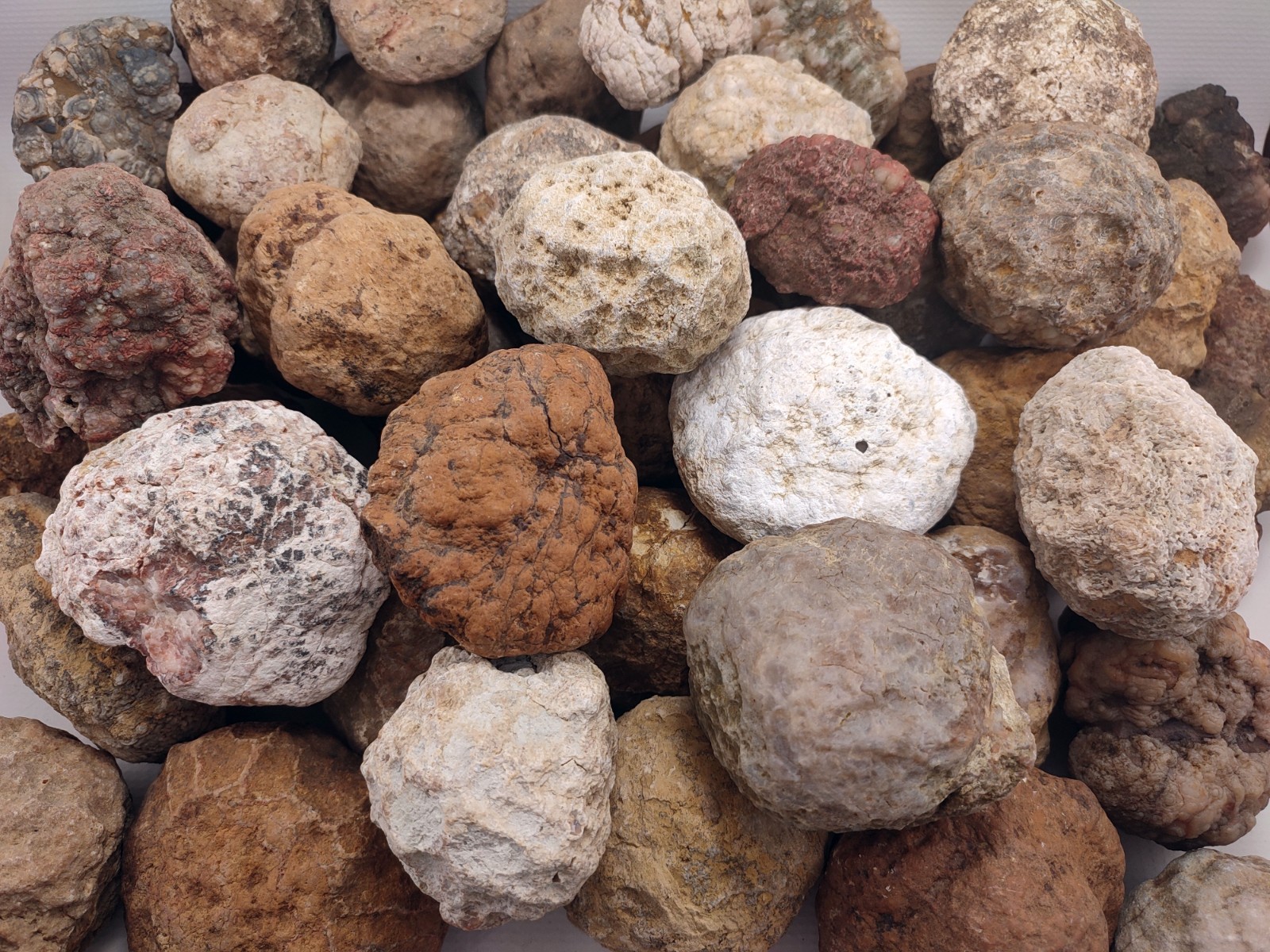 Large Unopened Geodes Agates Nodules 7-9 LB Mixed Bulk Lot Variety Quantity: 6 Large Unopened Geodes Agates Nodules 7-9 LB Mixed Bulk Lot Variety Quantity: 6