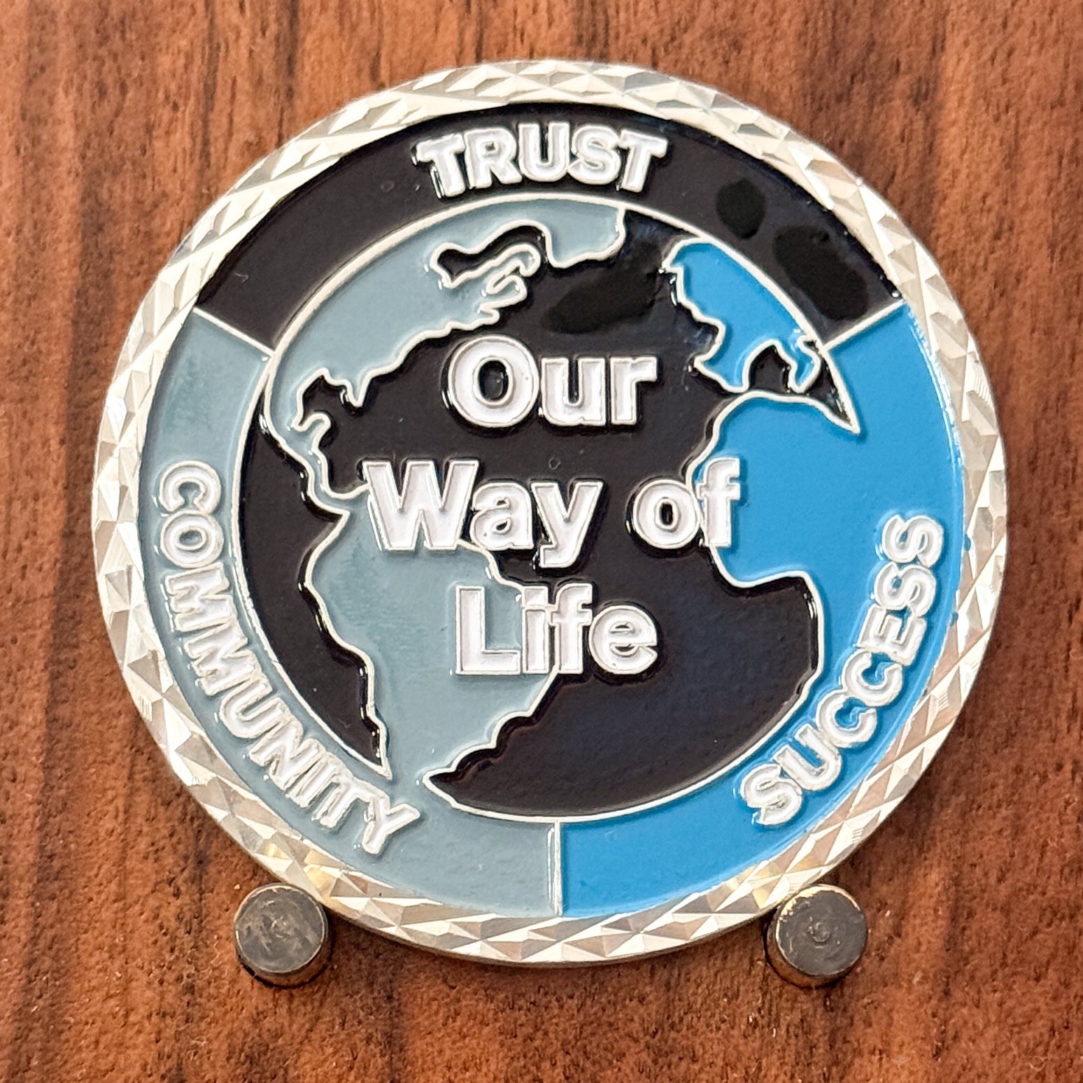NTT Data Global Trust Excellence World Map Award Challenge Coin  1#38