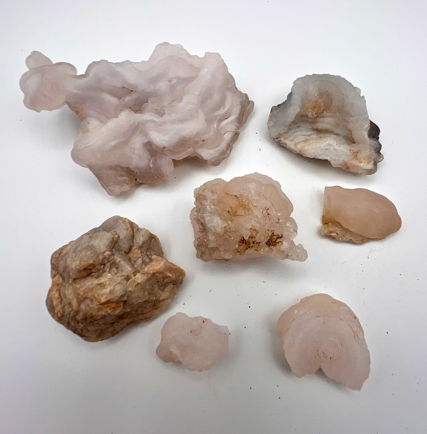 Natural Chalcedony Agate Mineral Specimen Lot 7pc Botryoidal Rosette Druzy Natural Chalcedony Agate Mineral Specimen Lot 7pc Botryoidal Rosette Druzy