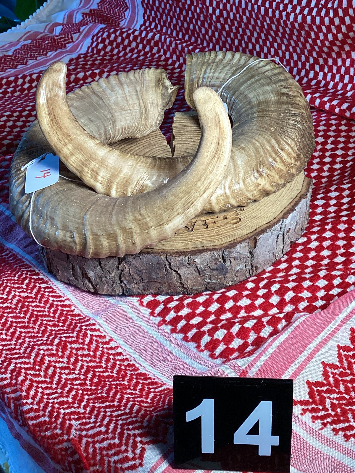 CHOICE OF Match Pair Ram Horn from Nepal Himilayan FROM GEORGIA CHOICE OF Match Pair Ram Horn from Nepal Himilayan FROM GEORGIA