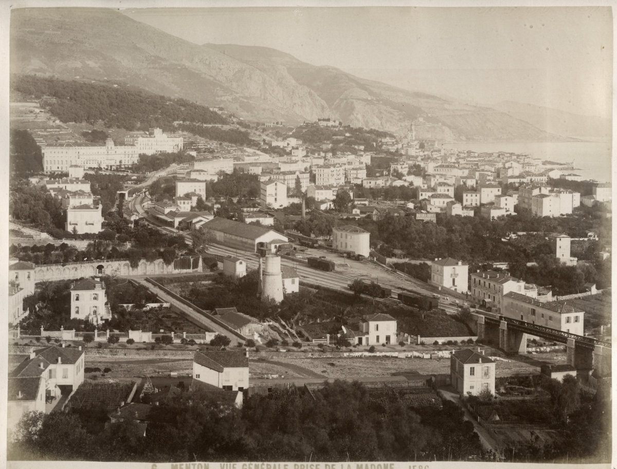 c.1880's PHOTO FRANCE MENTON GENERAL VIEW/PAMPAS GRASS c.1880's PHOTO FRANCE MENTON GENERAL VIEW/PAMPAS GRASS