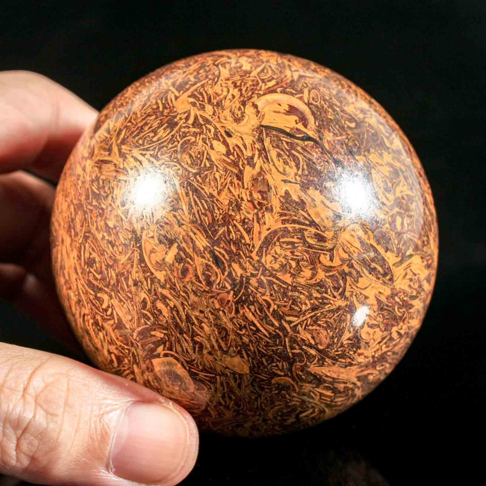 2.9" 1.22LB Natural Calligraphy Stone Miriam Jasper Shell Fossil Crystal Ball 2.9" 1.22LB Natural Calligraphy Stone Miriam Jasper Shell Fossil Crystal Ball