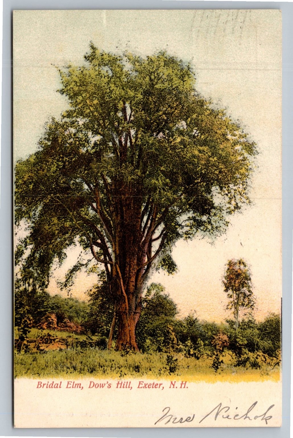 Vintage Bridal Elm Dow's Hill Exeter NH Postcard 1908 Posted