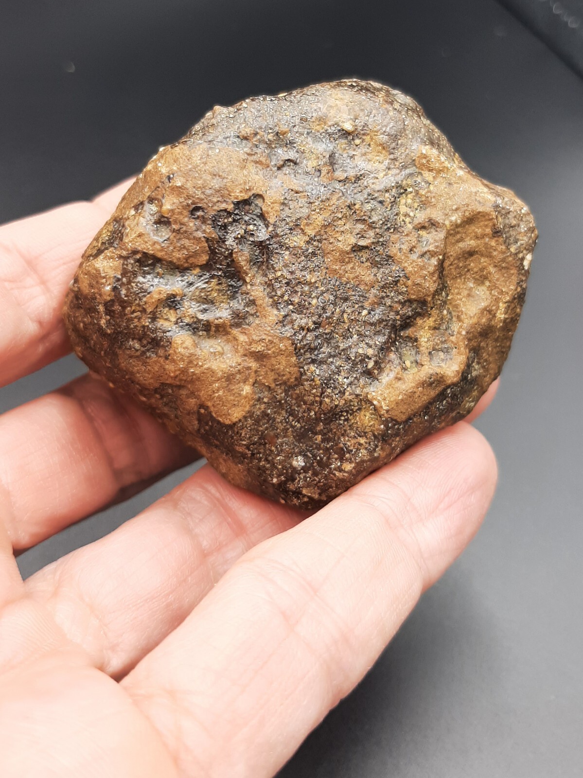Meteorite Chondrite unclassified NWA - 164,47g /6,2cm - French old collection Meteorite Chondrite unclassified NWA - 164,47g /6,2cm - French old collection