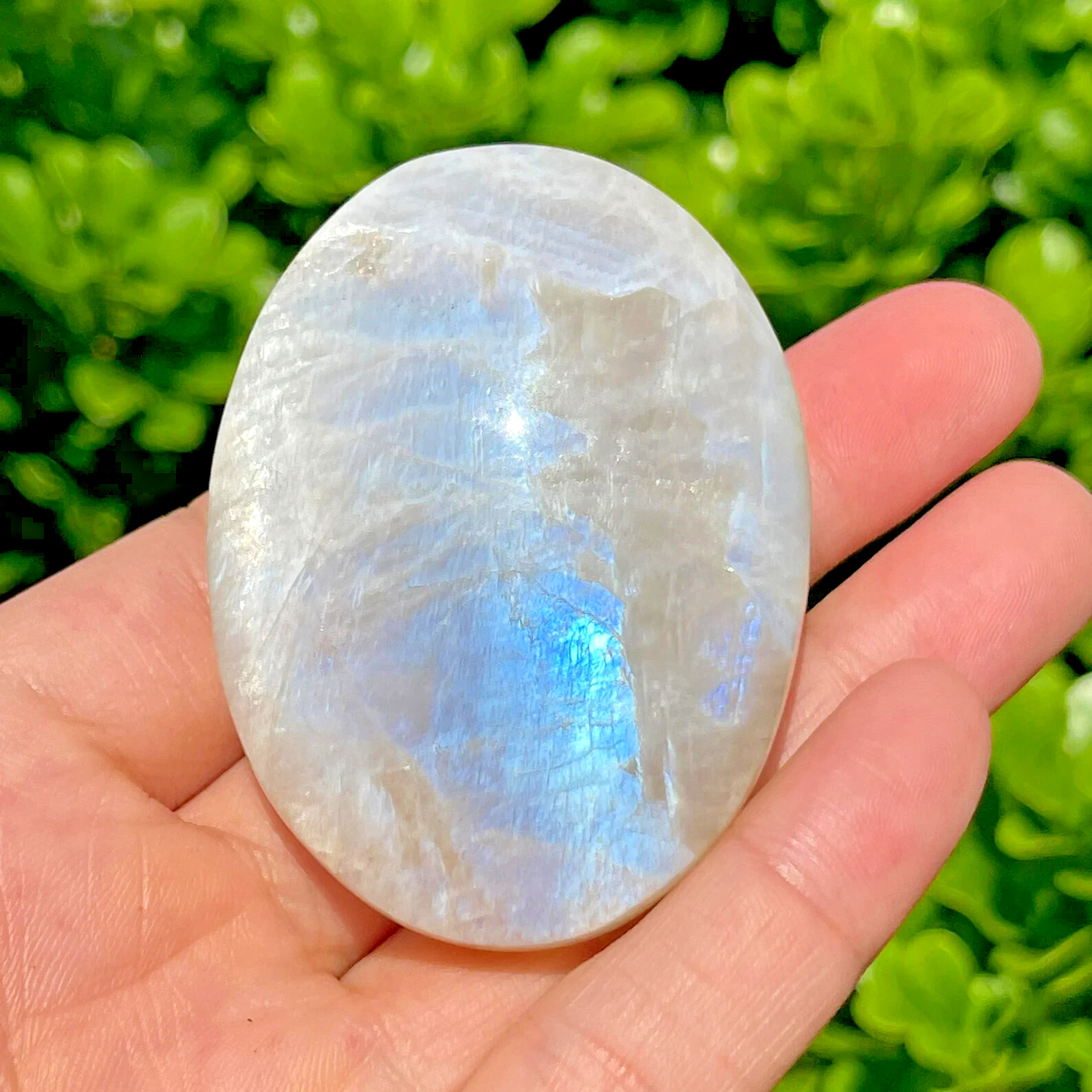 Natural Moonstone Palm Stone Polished Calming Healing Crystal Tumbled Stone Gift Natural Moonstone Palm Stone Polished Calming Healing Crystal Tumbled Stone Gift