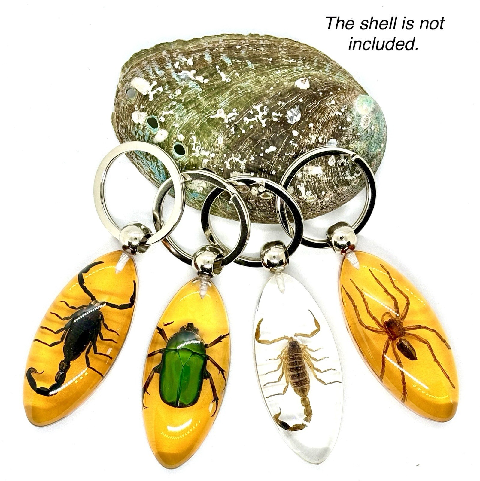 Real Insects in Resin Specimen Key Chains Ornament Collection 4 pcs Real Insects in Resin Specimen Key Chains Ornament Collection 4 pcs