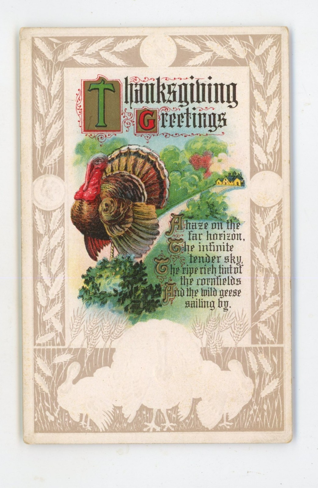 Vintage Postcard  Thanksgiving Greetings Turkey Embossed Unposted