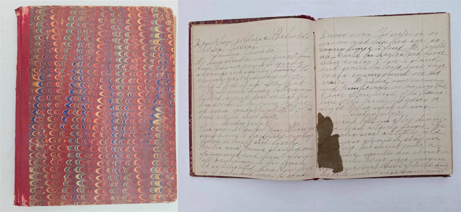 1889 antique handwritten DIARY s. duxbury ma travel excursion pressed leaves 1889 antique handwritten DIARY s. duxbury ma travel excursion pressed leaves