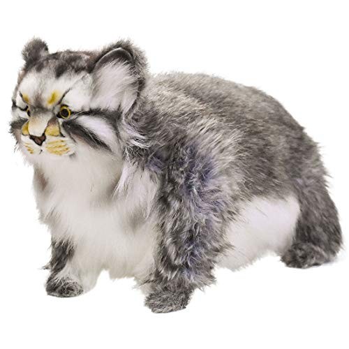 BH7077 HANSA Pallas's Cat 30 NEW