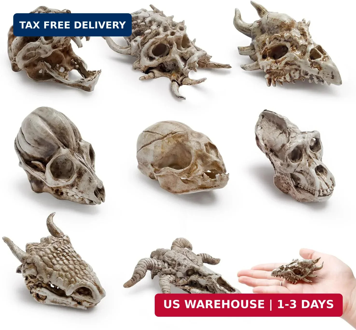 Bbiamsleep 8 Pcs 2.3 Inch Mini Animal Skulls Mini Skulls for Halloween | Resin A Bbiamsleep 8 Pcs 2.3 Inch Mini Animal Skulls Mini Skulls for Halloween | Resin A